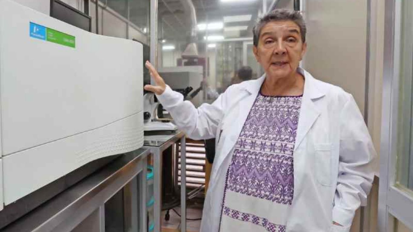 Playa del Carmen activa monitoreo inteligente contra el sargazo