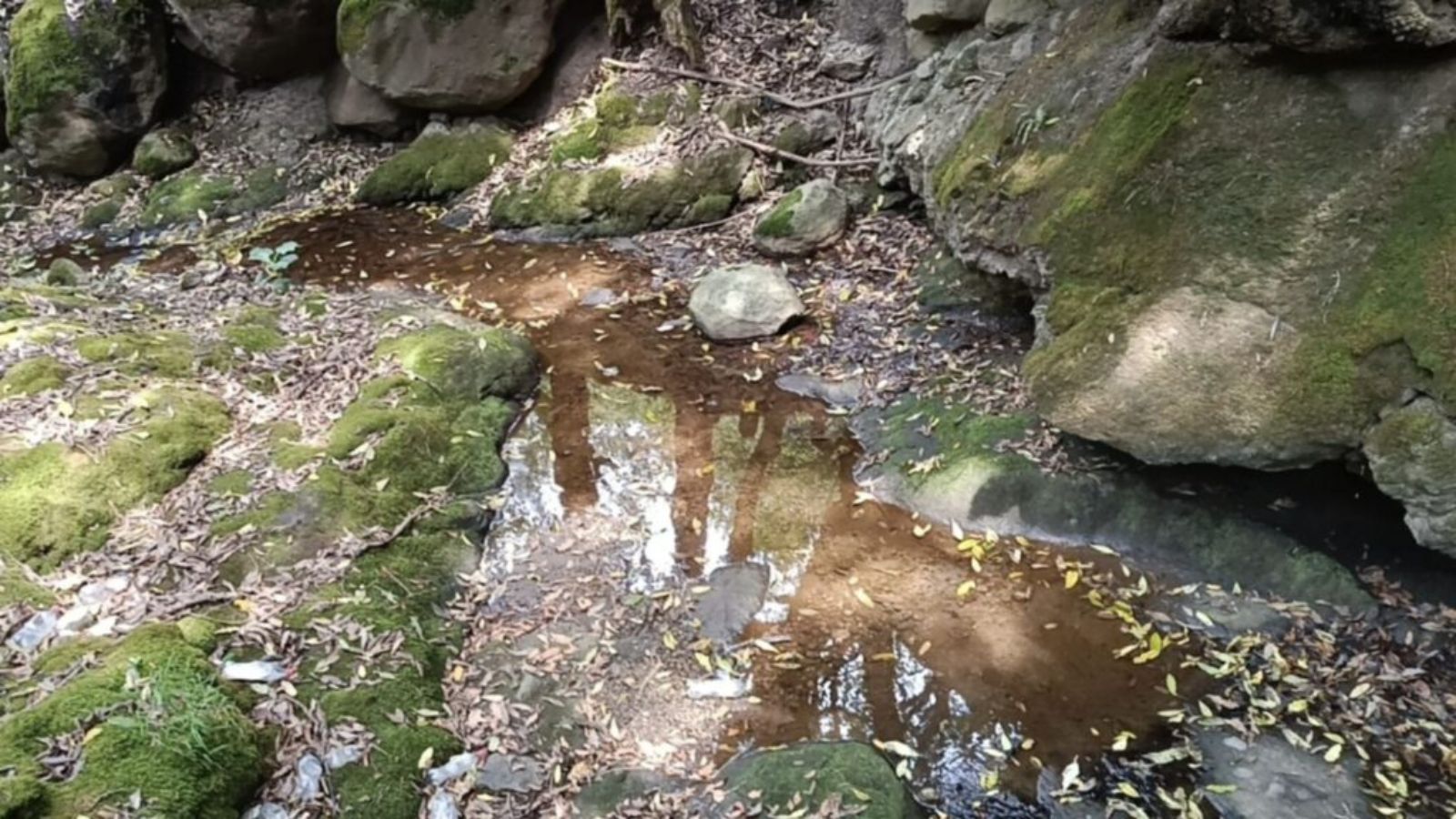 Activan Plan DN-III por derrame de combustible en el Edomex