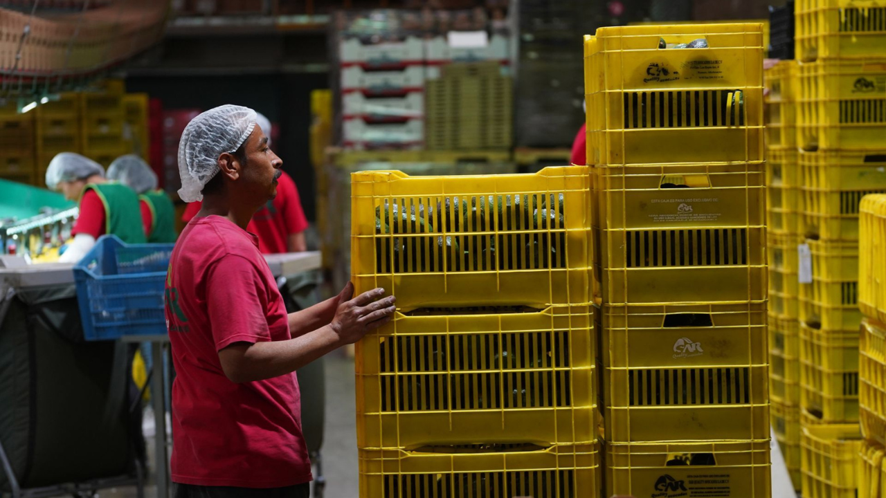 ¿Buen salario o vida personal? Esto piensan los mexicanos 