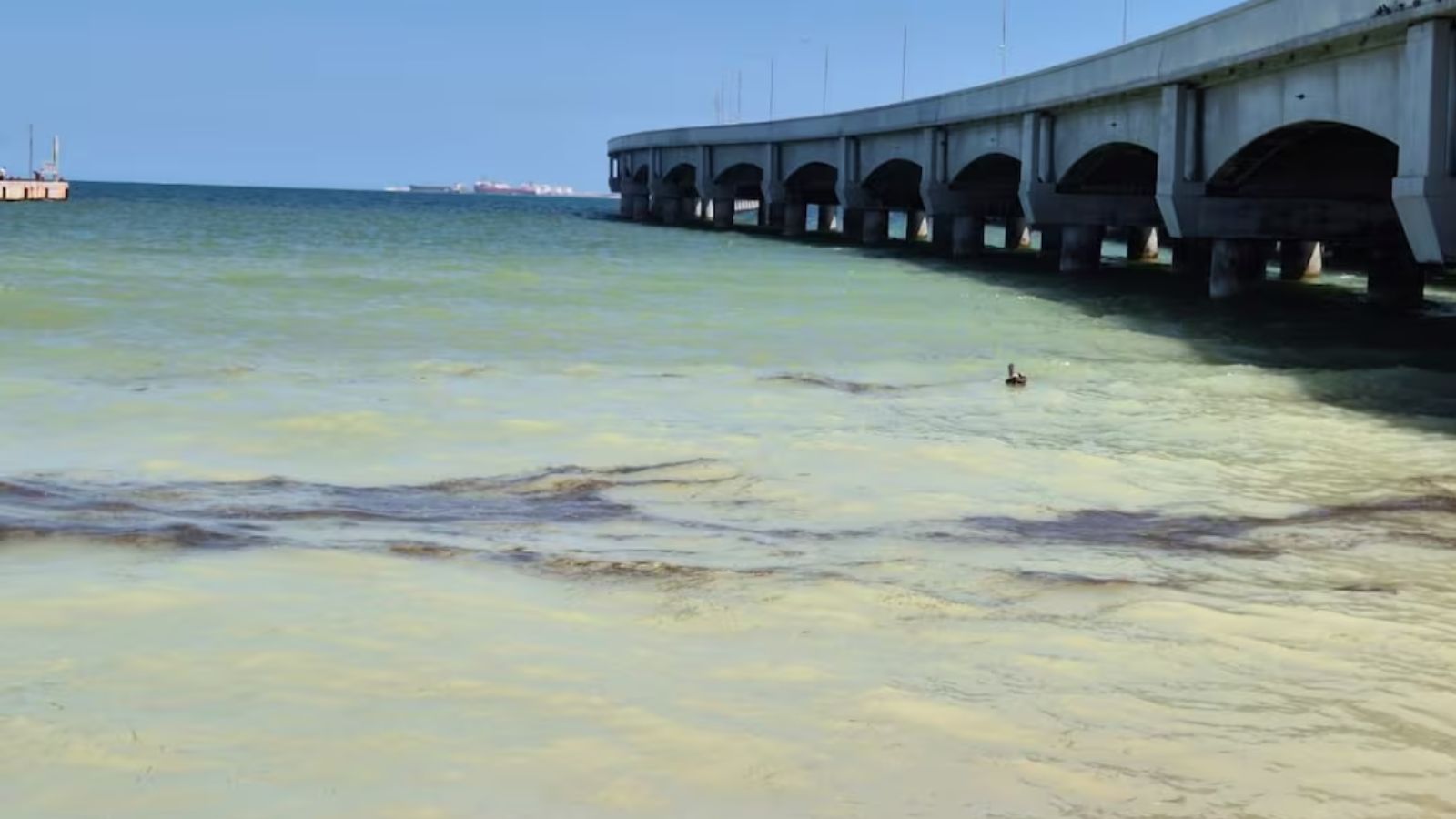 Fuga de ducto de Pemex provoca derrame en Puerto Progreso