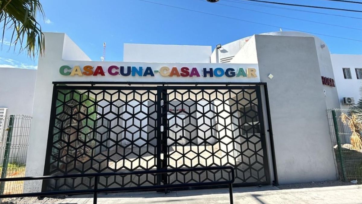 Adopciones en México: entre el abandono y la burocracia