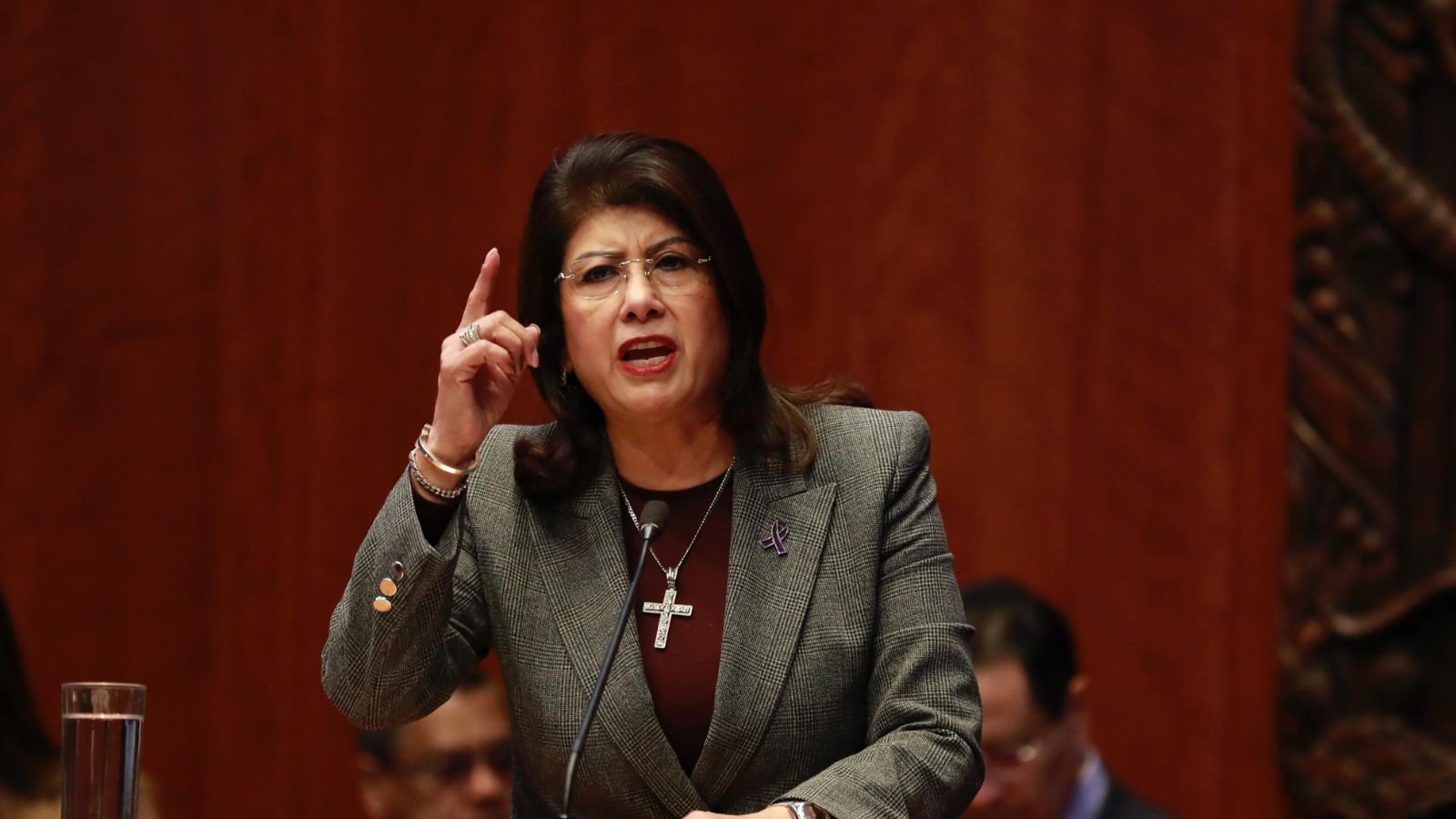 Investigan a la senadora Mariela Gutiérrez por el sacrificio de hasta 10 mil perros