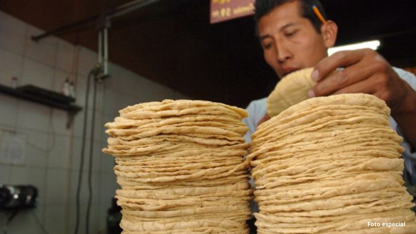 Precio de la tortilla se mantiene estable: Profeco