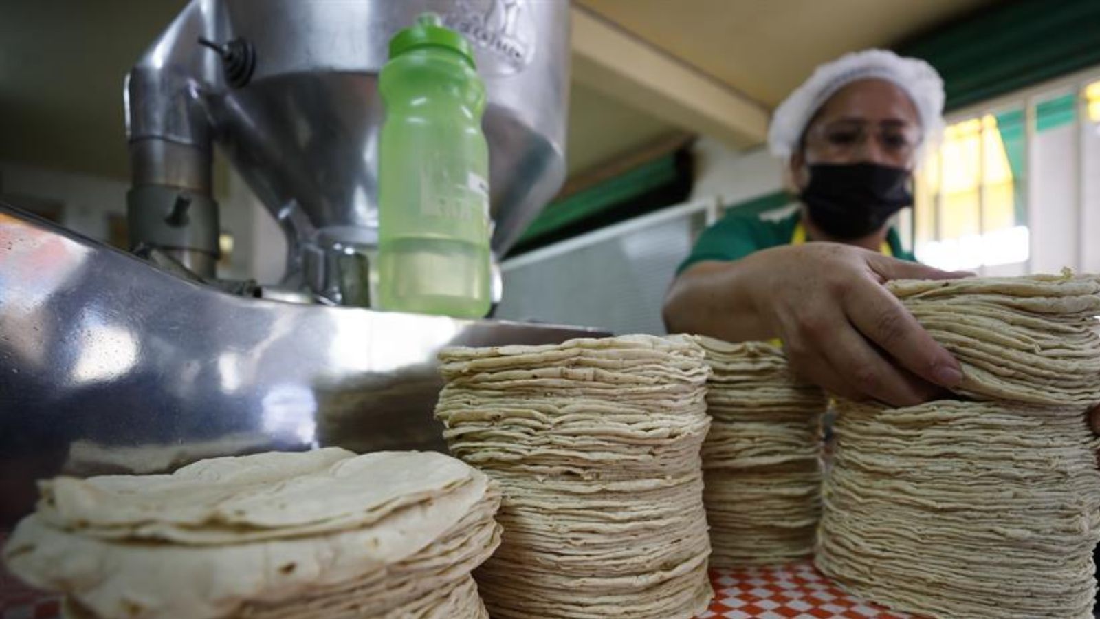 No hay razón para que aumente el precio de la tortilla
