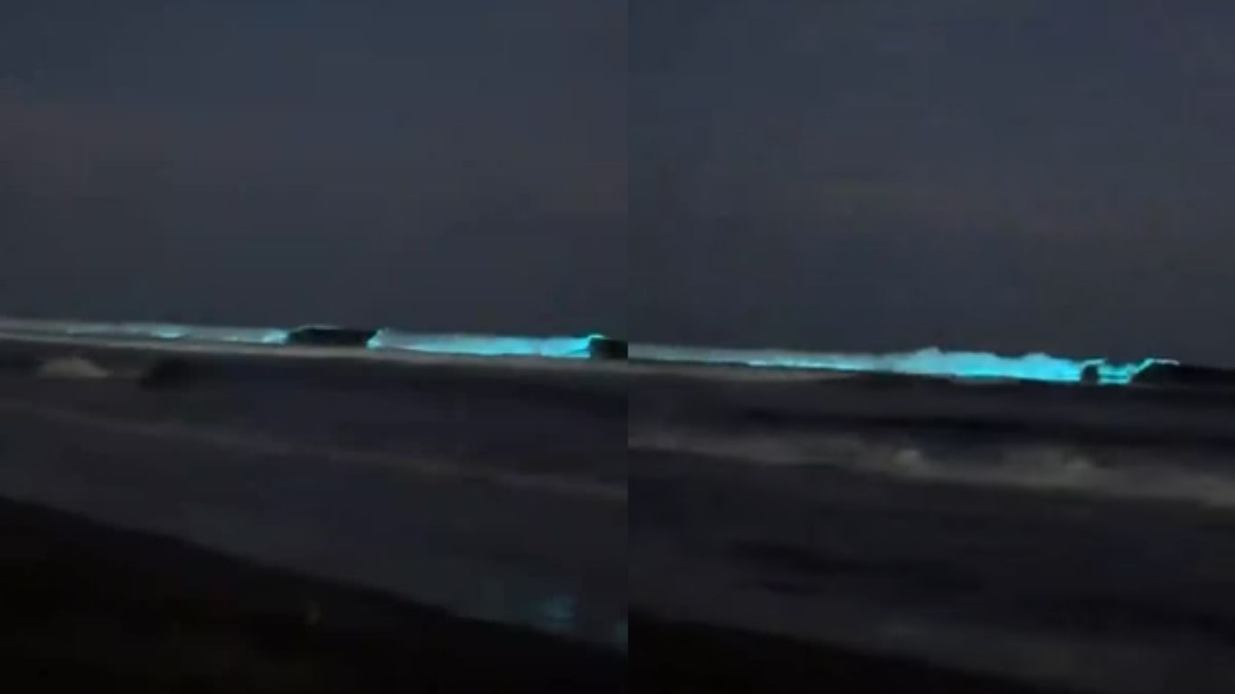 Bioluminiscencia ilumina playas de Guasave
