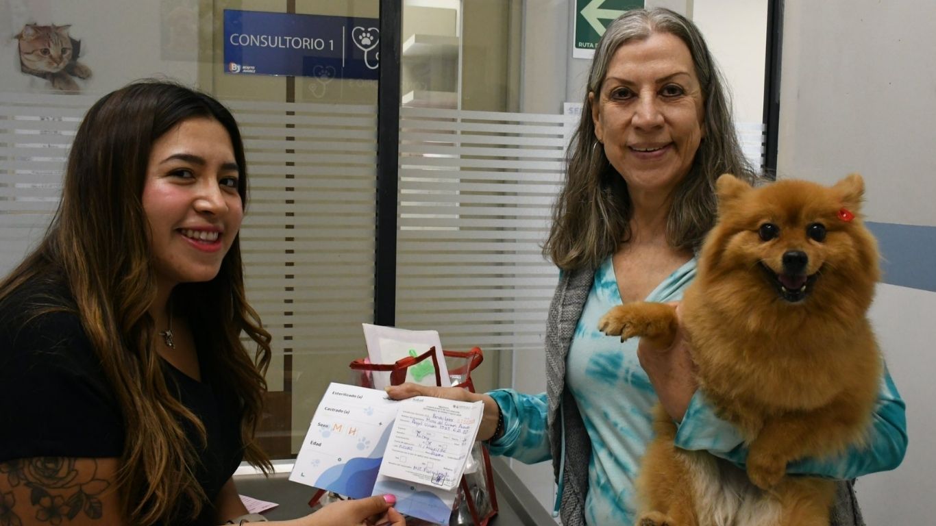 Lleva a tu mascota a vacunarse gratis en Benito Juárez 