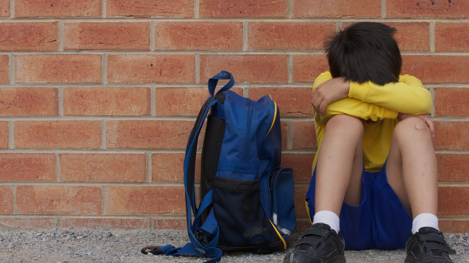 Bullying, reflejo de la descomposición social