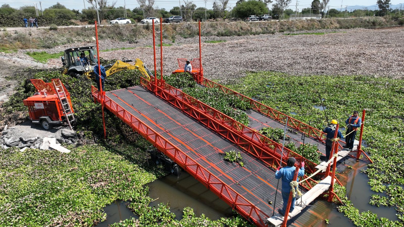 Lirio acuático invade la Laguna de Zumpango