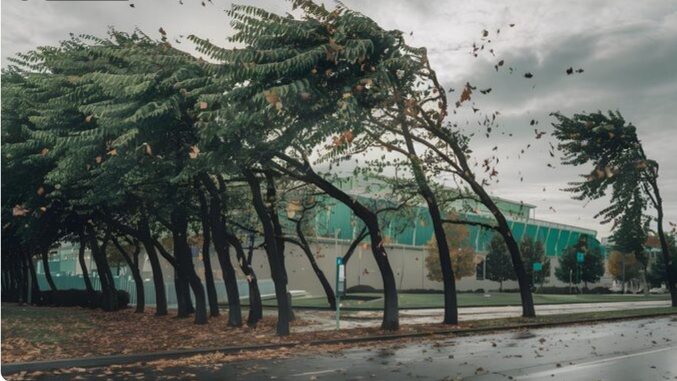 Activan Alerta Amarilla por vientos