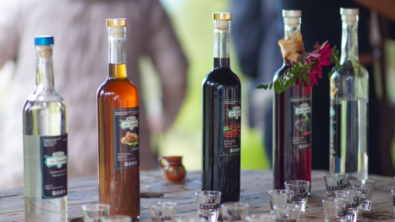 Rutas del Mezcal y la Flor impulsan turismo mexiquense 