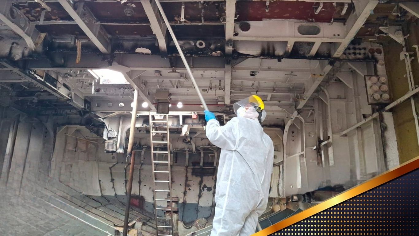 ¡Nuevo hogar para corales y especies marinas! 