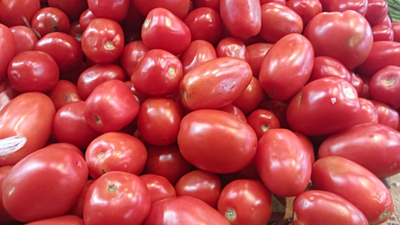 Precio del jitomate baja más del 50%