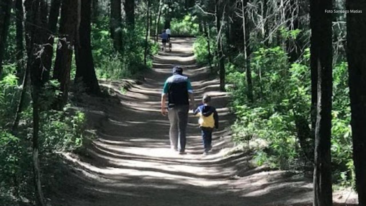 Sheinbaum felicita a los padres en su día