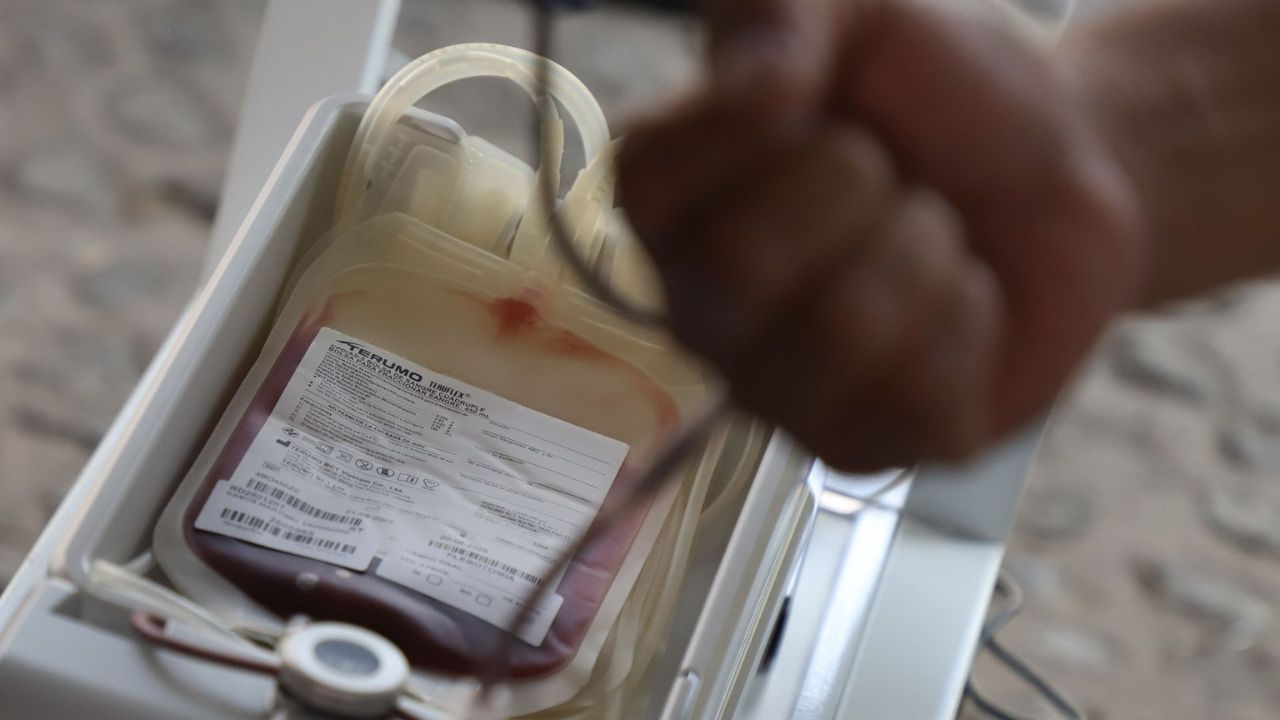 En México sólo 12 de cada mil personas son donantes de sangre voluntarios