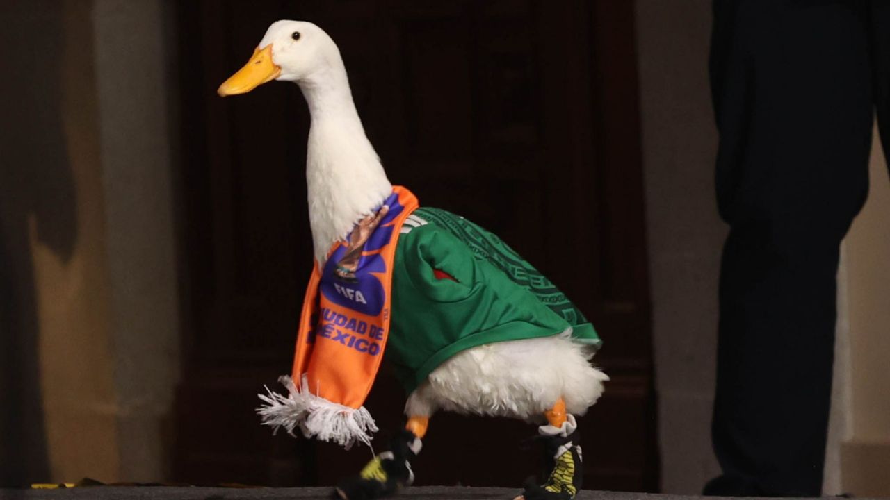 Pato Merlín visitó Palacio Nacional