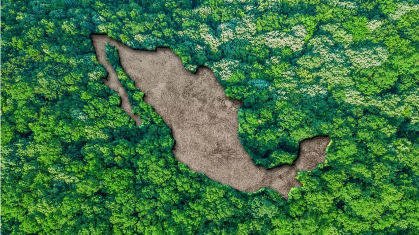 La meta climática de México requiere 5.4% del PIB anual
