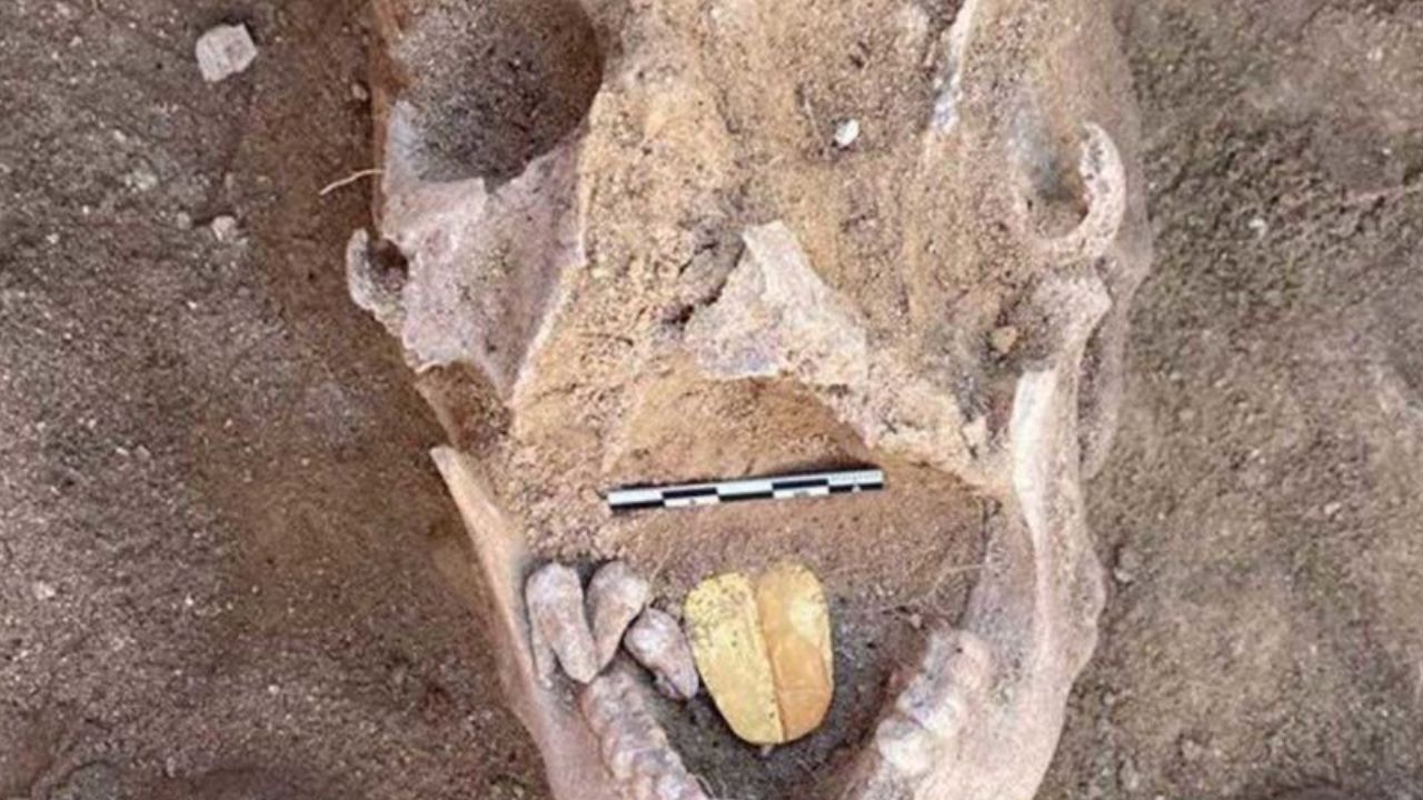 Descubren tumbas grecorromanas en Egipto con lenguas de oro