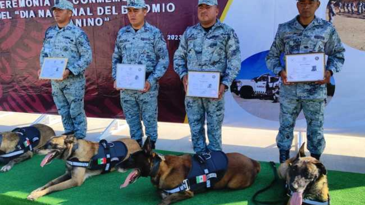 Rinden homenaje a binomios caninos en CDMX