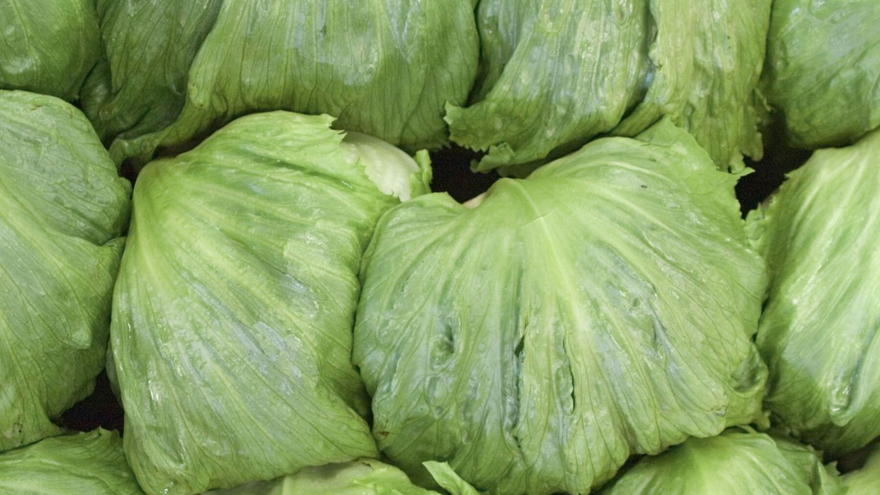 México investiga origen del brote de ciclosporiasis