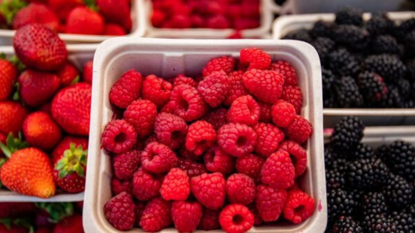 ¡Alerta en EE.UU.! Frutos rojos, bajo riesgo de E. coli