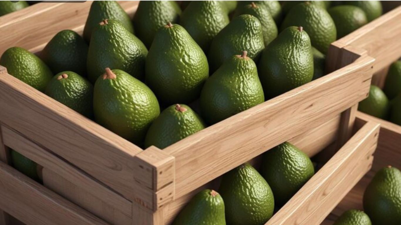 México enviará a EE.UU. mil toneladas de aguacate