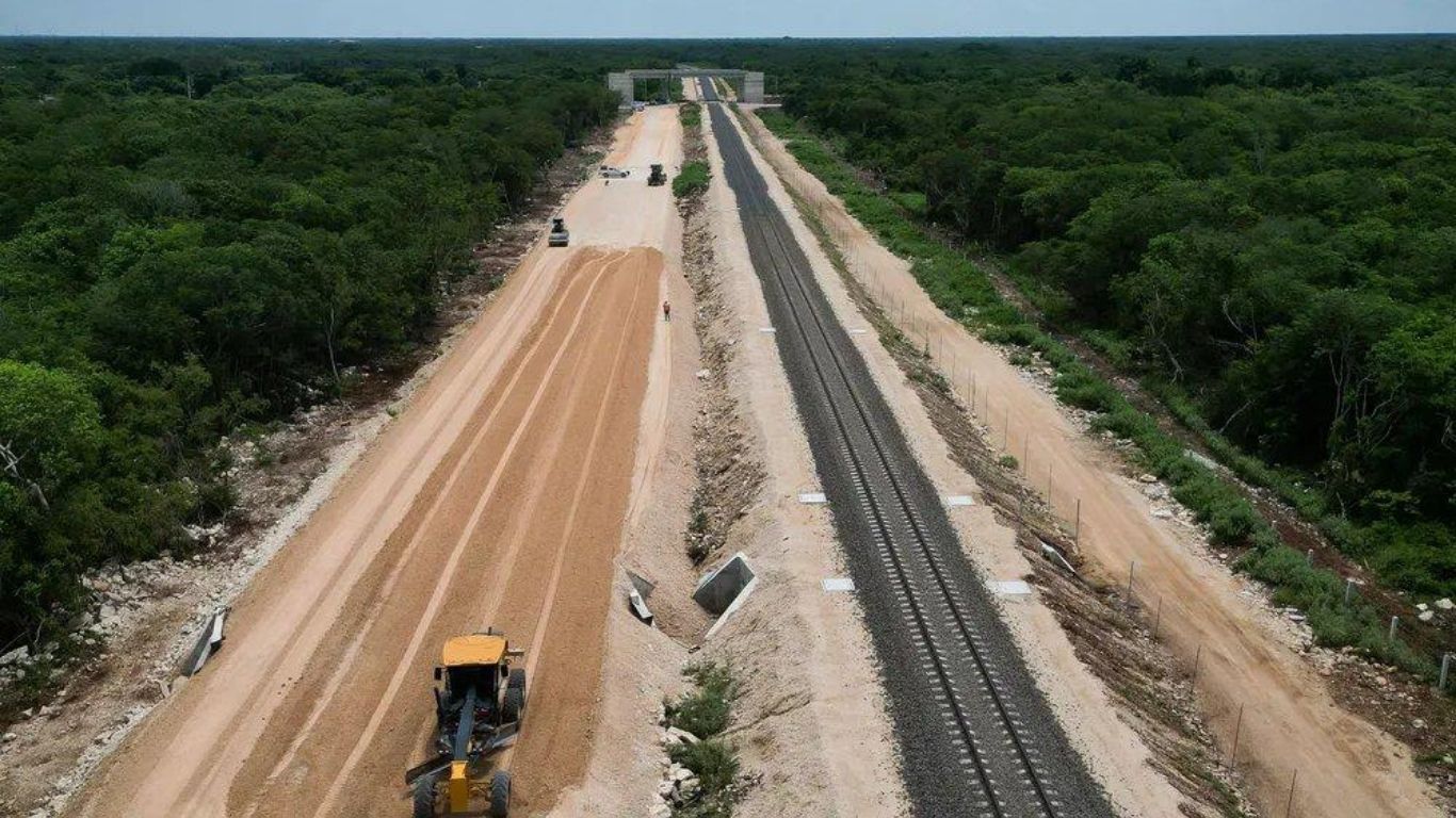 El Tren Maya deberá reparar el daño ambiental