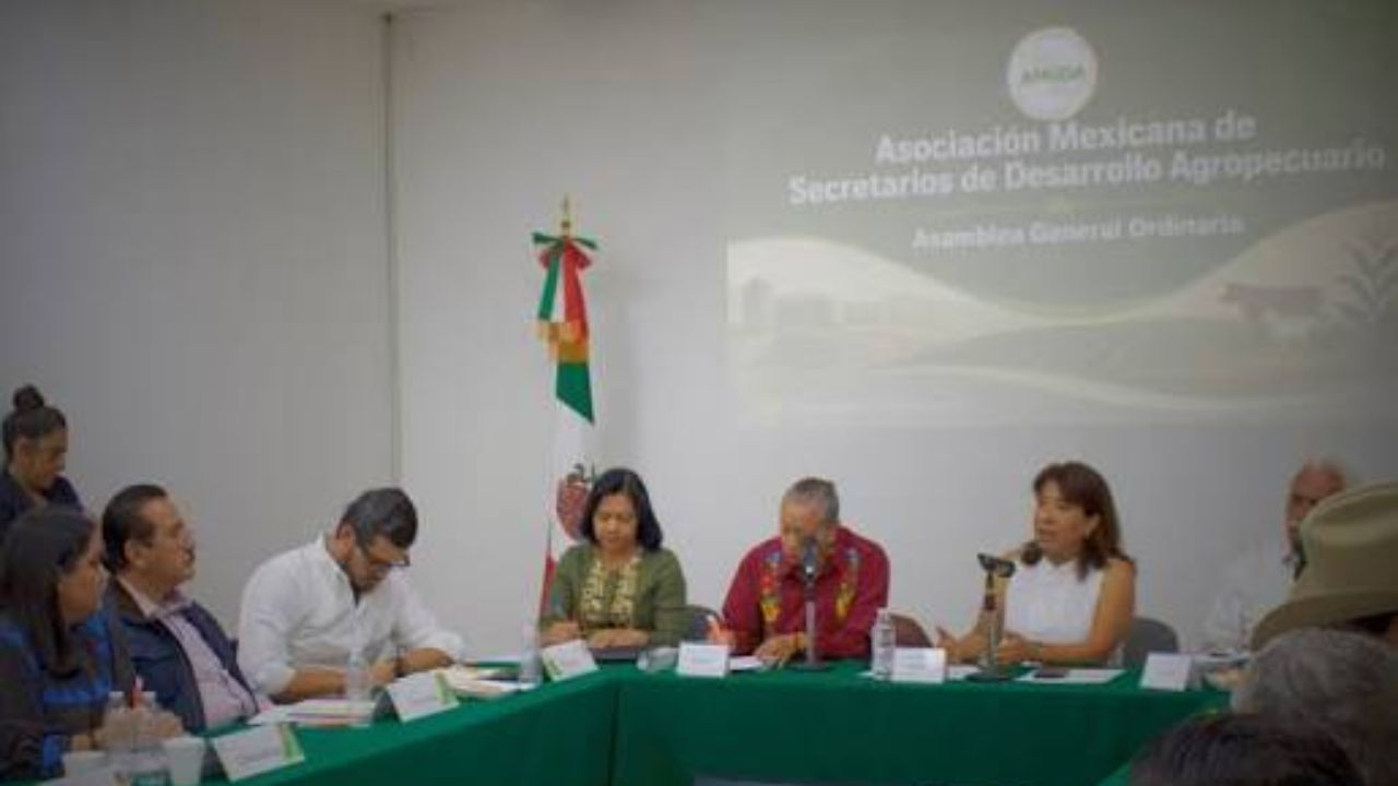 Por primera vez una mujer dirigirá AMSDA