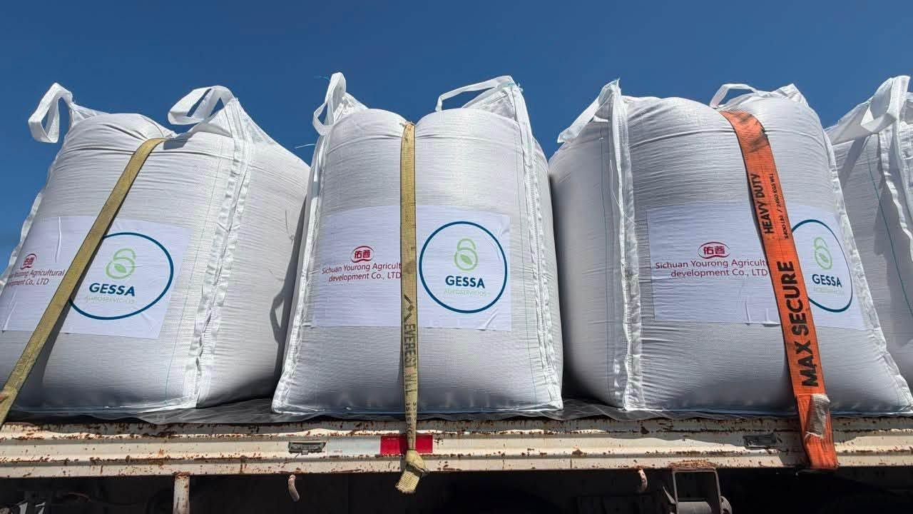 Sinaloa envía primer cargamento de sorgo a China