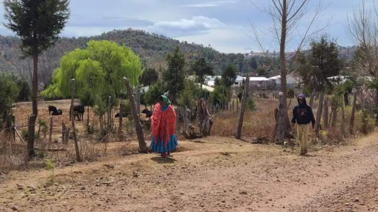 Alertan desplazamiento forzado en Chihuahua