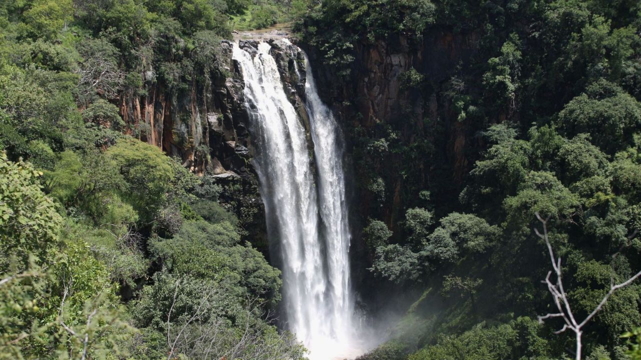 Presentan nueva ley ambiental que incorpora los acuerdos de Escazú