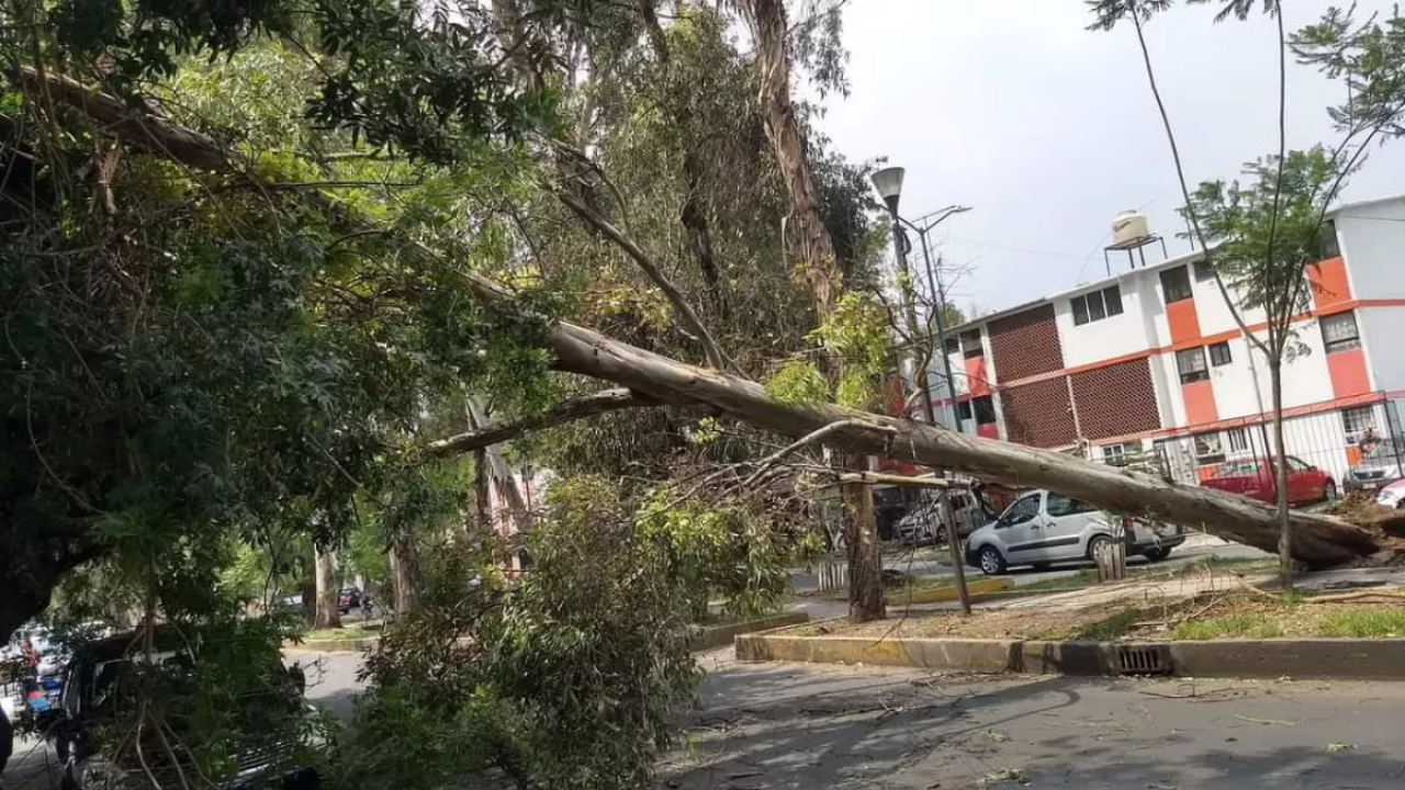 ¡Atención! Hay alerta por vientos fuertes en la CDMX