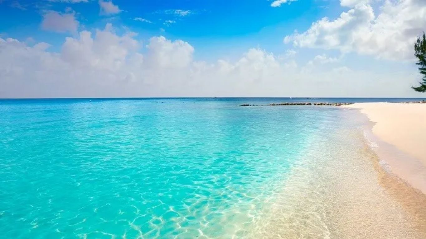 ¡Cuidemos las playas de México! Hay más de 11 mil km de litoral