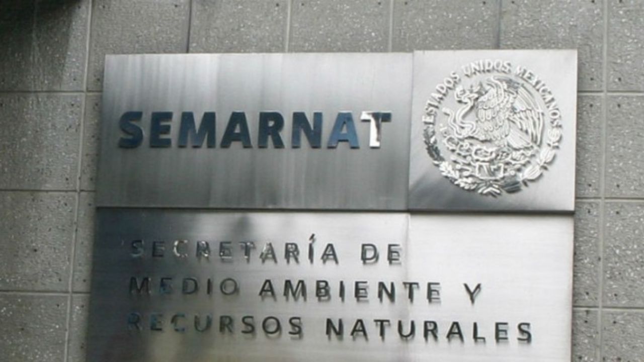 Semarnat digitaliza trámites de impacto ambiental