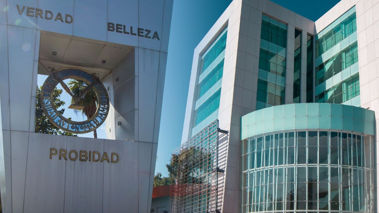 UAT crea CitriScan para detectar plagas