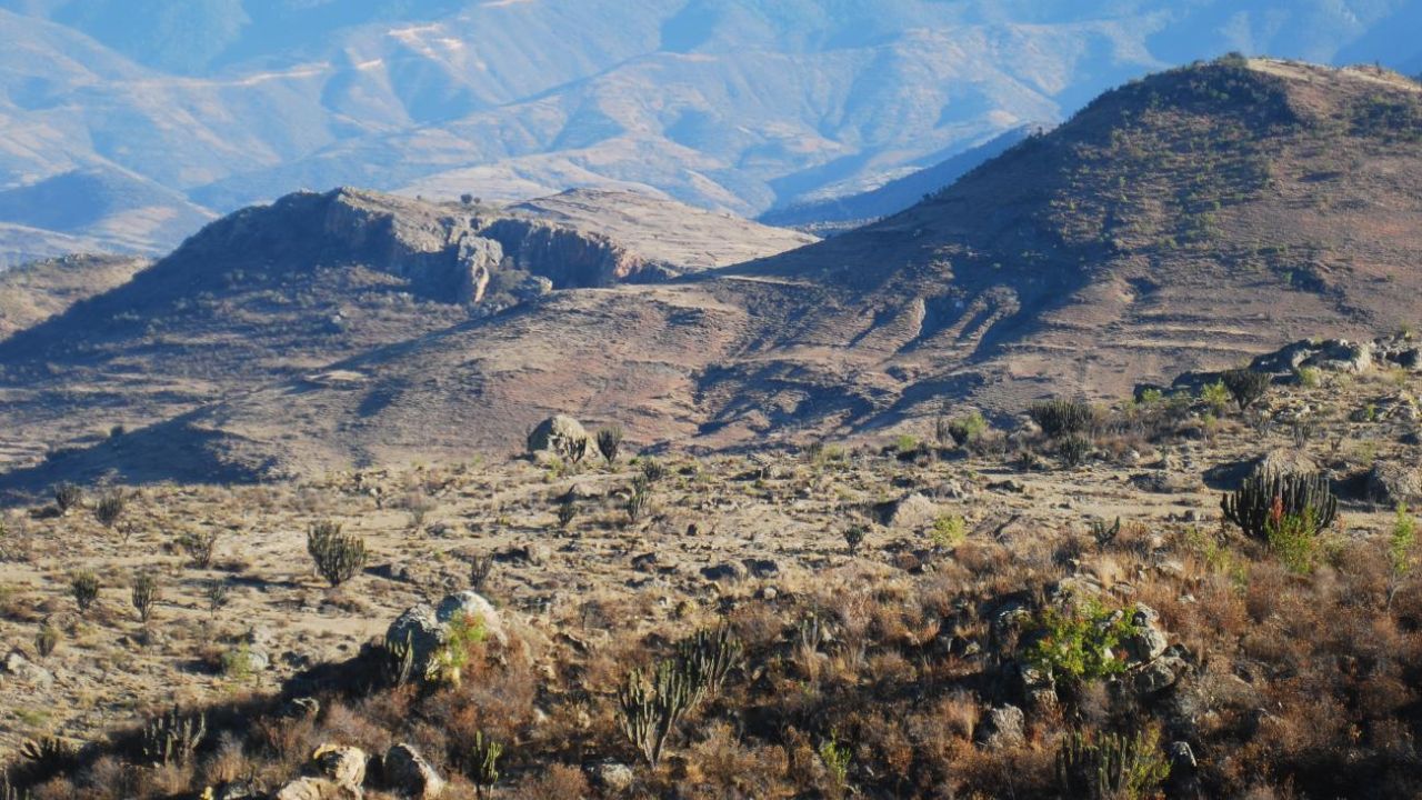 Alertan por saqueos  en cuevas de Yagul y Mitla
